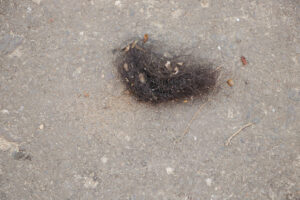 07062025—lanamento-da-caravana-da-reciclagem-popular—dia-nacional-de-luta-das-catadoras-e-catadores—luliaguzzi_54581294381_l