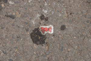 07062025—lanamento-da-caravana-da-reciclagem-popular—dia-nacional-de-luta-das-catadoras-e-catadores—luliaguzzi_54581294771_l