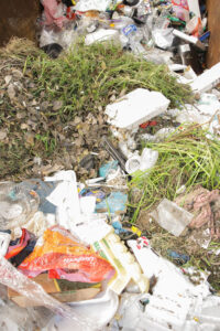 07062025—lanamento-da-caravana-da-reciclagem-popular—dia-nacional-de-luta-das-catadoras-e-catadores—luliaguzzi_54581294906_l