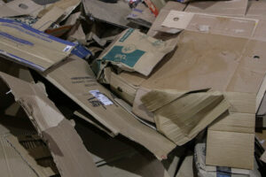 07062025—lanamento-da-caravana-da-reciclagem-popular—dia-nacional-de-luta-das-catadoras-e-catadores—luliaguzzi_54581378664_l