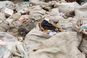 07062025—lanamento-da-caravana-da-reciclagem-popular—dia-nacional-de-luta-das-catadoras-e-catadores—luliaguzzi_54581504578_l