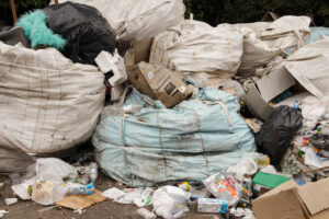 07062025—lanamento-da-caravana-da-reciclagem-popular—dia-nacional-de-luta-das-catadoras-e-catadores—luliaguzzi_54581504588_l